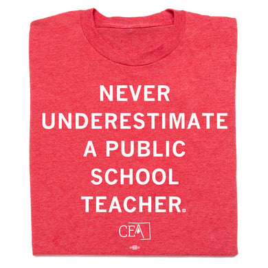 Never Underestimate A Public School Teacher Shirt