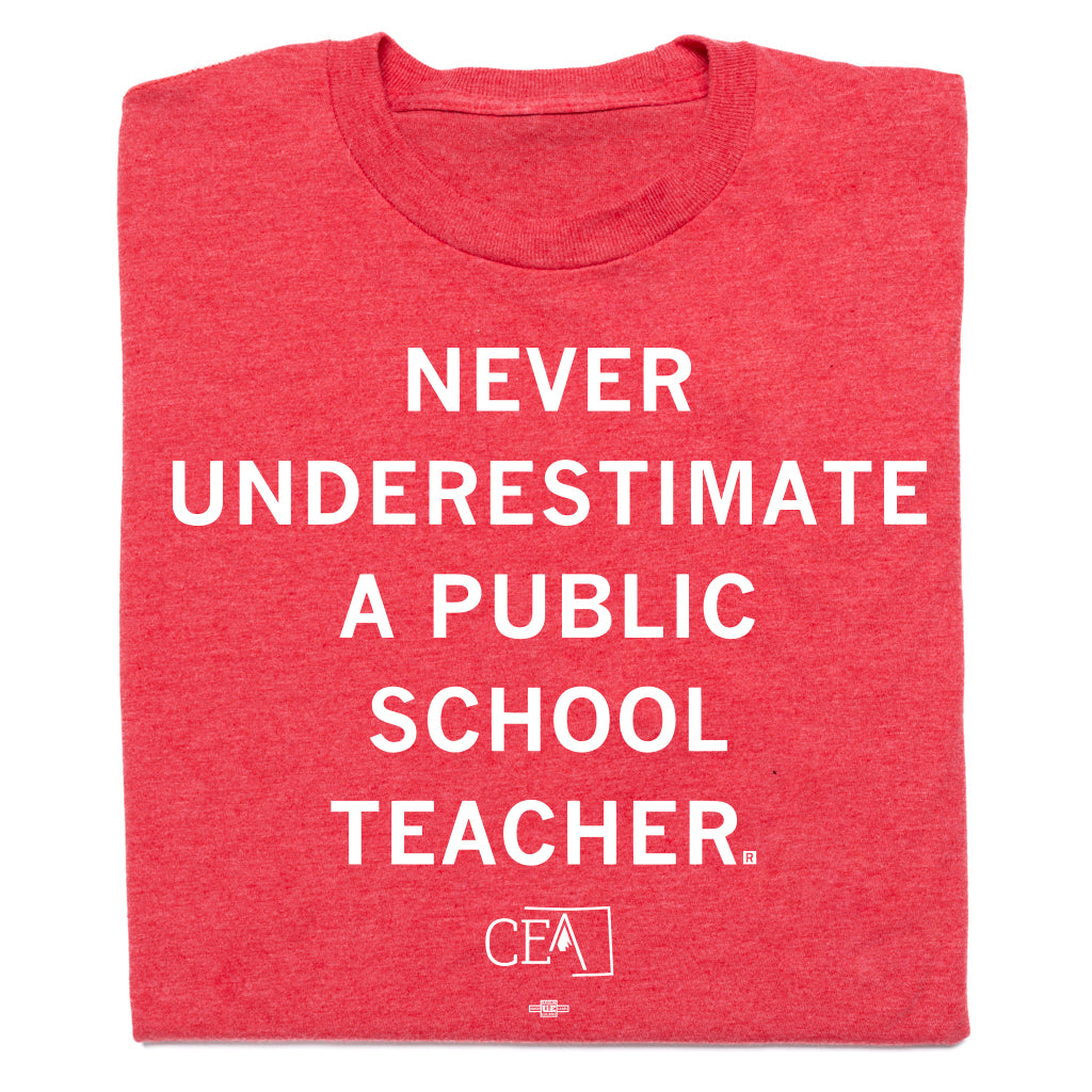 Never Underestimate A Public School Teacher Shirt